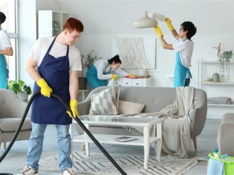 Home and Apartment Cleaning