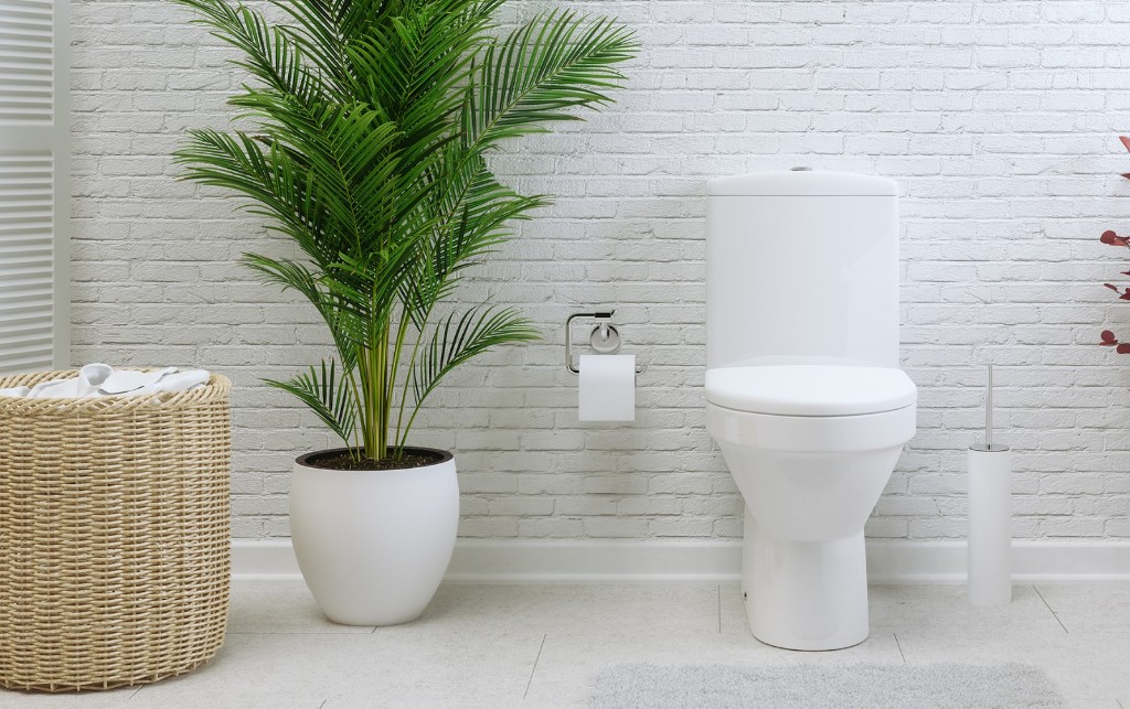 Bathroom Cleaning