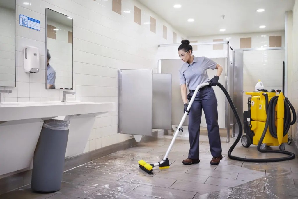 Toilet Cleaning